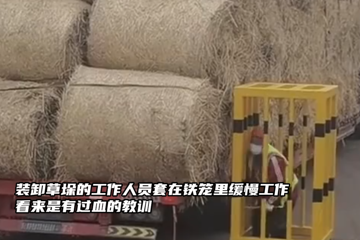 װж�ݶ�ȫ����װ&nbsp;�������й�Ѫ�Ľ�ѵ