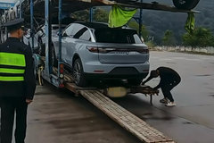 �������ٿ�չ���س��޳�̬������