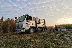 ���ؽ�ũ��ɶ����8����+�Ű붼��