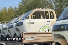 轻卡轿运车？mini版 这车竟然也能上路行驶