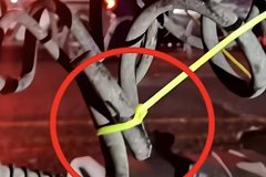 ����Ϊй���������ɲ���� ���ѳ��£�