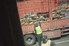 ɽ�����ٷ���������͵����Ƶ�贫