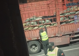 一个放哨一个偷!山东高速保安偷姜视频疯传 服务区该来一次严打了