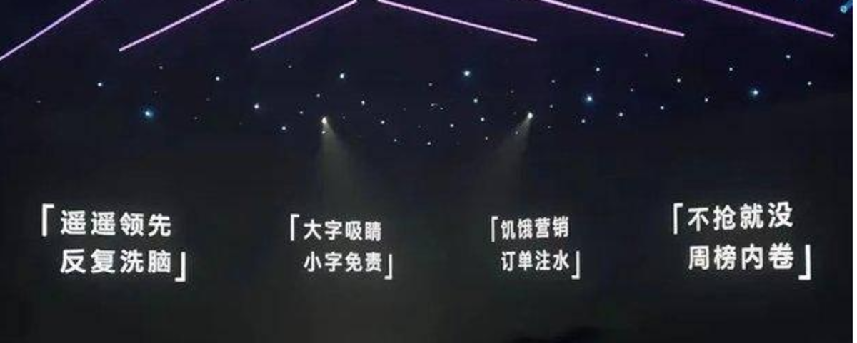 新华社批新能源车企乱象