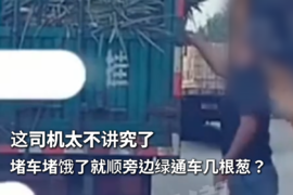 堵车堵饿了就顺旁边绿通车几根葱?这司机怎么想的