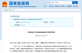 国家能源局重磅指导意见 商用车“电动+氢能”协同发展新局