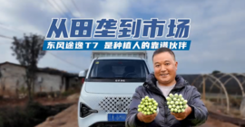 稳稳的幸福，东风途逸T7成为"最踏实"伙伴