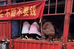 �������������ˮ��̯ ˮ������Ҫ����