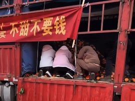 众多大货车变身流动水果摊 水果店的天要塌了？