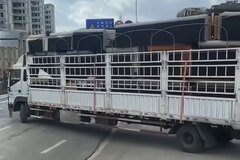 ���+��� ���׶���ʲôʱ����ɲ����