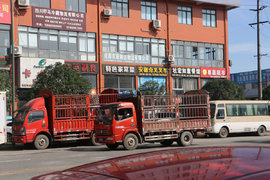 运价新规4月落地 货运行业能否告别低价内卷？