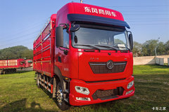 2025�����KR PLUS 350�����п����
