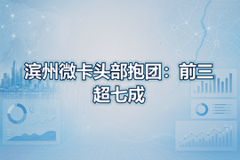 滨州微卡头部抱团：前三超七成