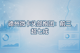 德州微卡头部抱团：前三超七成