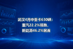 武汉4月中重卡630辆:重汽22.2%领跑,新能源46.2%居首