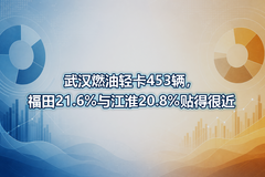 �人ȼ���Ῠ453��������21.6%�뽭��20.8%���úܽ�