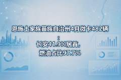 ��ʩ����������������4��΢��482��������41.9%���ף�ȼ��ռ��97.7%