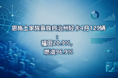 ��ʩ�����������������Ῠ4��129��������20.9%��ȼ��96.9%