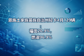 恩施土家族苗族自治州轻卡4月129辆：福田20.9%，燃油96.9%