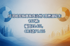 ��ӹ���������������4��ȼ���Ῠ197��������29.4%��CR3��71.1%