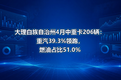 ��������������4�����ؿ�206��������39.3%���ܣ�ȼ��ռ��51.0%