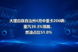 大理白族自治州4月中重卡206辆:重汽39.3%领跑,燃油占比51.0%