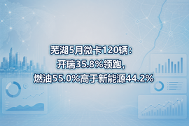 芜湖5月微卡120辆:开瑞35.8%领跑,燃油55.0%高于新能源44.2%
