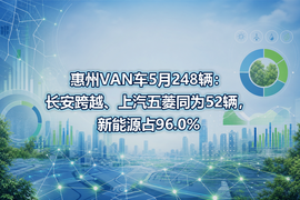 惠州VAN车5月248辆：长安跨越、上汽五菱同为52辆，新能源占96.0%