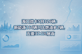 海口微卡5月326辆：新能源164辆只比燃油多2辆，五菱37.1%居首