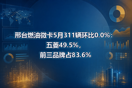 邢台燃油微卡5月311辆环比0.0%：五菱49.5%，前三品牌占83.6%