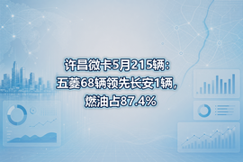 许昌微卡5月215辆:五菱68辆领先长安1辆,燃油占87.4%