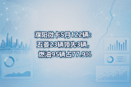 濮阳微卡5月122辆:五菱23辆领先3辆,燃油95辆占77.9%