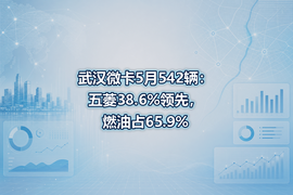武汉微卡5月542辆：五菱38.6%领先，燃油占65.9%