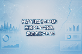 长沙5月微卡492辆:五菱32.5%领跑,燃油占比73.6%