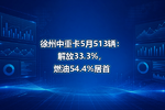 徐州中重卡5月513辆:解放33.3%,燃油54.4%居首