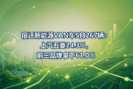 宿迁新能源VAN车5月267辆：上汽五菱24.3%，前三品牌拿下61.0%