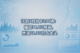 沈阳5月微卡298辆:福田34.2%居首,燃油52.3%仍占大头