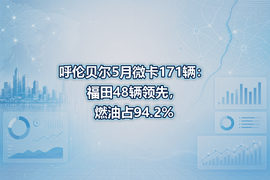 呼伦贝尔5月微卡171辆：福田48辆领先，燃油占94.2%