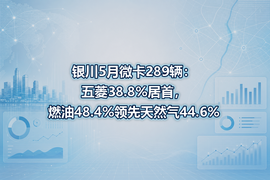 银川5月微卡289辆:五菱38.8%居首,燃油48.4%领先天然气44.6%