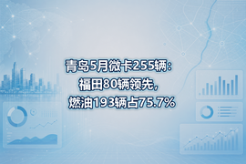 青岛5月微卡255辆:福田80辆领先,燃油193辆占75.7%