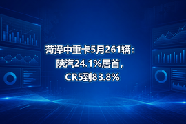 菏泽中重卡5月261辆：陕汽24.1%居首，CR5到83.8%
