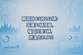 聊城微卡5月262辆：五菱73辆领跑，福田只差3辆，燃油占89.7%