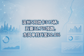 滨州5月微卡315辆：五菱32.7%领跑，东风单月升至20.0%
