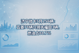 济宁微卡5月256辆:五菱78辆只领先福田3辆,燃油占88.7%