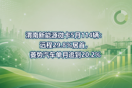 渭南新能源微卡5月114辆:远程29.8%居首,菱势汽车单月追到20.2%