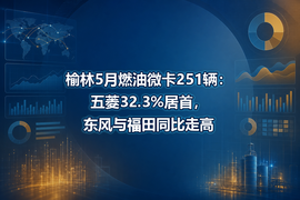 榆林5月燃油微卡251辆:五菱32.3%居首,东风与福田同比走高