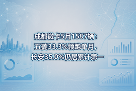 成都微卡5月1587辆:五菱33.3%领跑单月,长安35.0%仍居累计第一