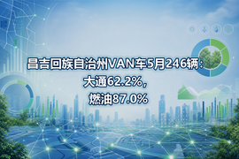 昌吉回族自治州VAN车5月246辆:大通62.2%,燃油87.0%