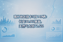 喀什地区微卡5月149辆：长安38.9%居首，天然气占到72.5%