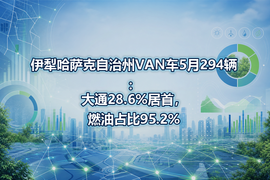 伊犁哈萨克自治州VAN车5月294辆：大通28.6%居首，燃油占比95.2%